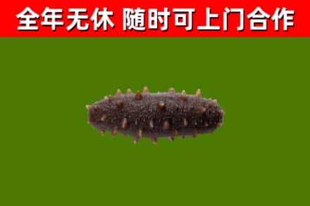 盐田区烟酒回收干海参.jpg