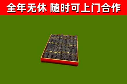 盐田区回收海参